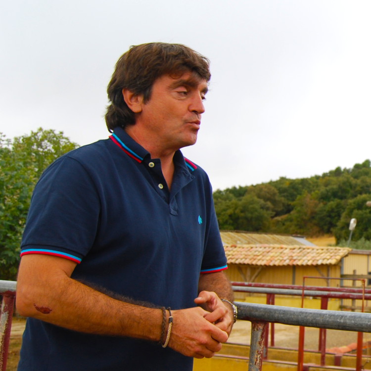 consulting-san-fermin-navarre-seminaire-intervention-taurin-torero-Elevage-Alba-Reta-Safari-toros-Miguel-Reta-agence-evenementielle-erronda-pastor-san-fermin