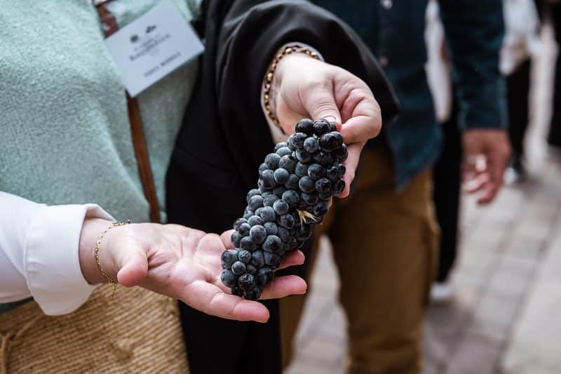 séminaire rioja gastronomie vin marques de riscal mongolfiere agence erronda