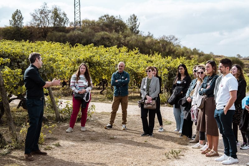 séminaire rioja gastronomie vin marques de riscal mongolfiere agence erronda