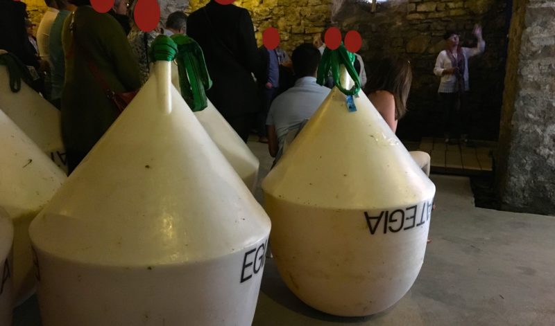 Seminaire pays basque saint jean de luz croisiere degustation vin egiategia grand hotel loreamar agence-evenementielle receptive voyage pays basque erronda