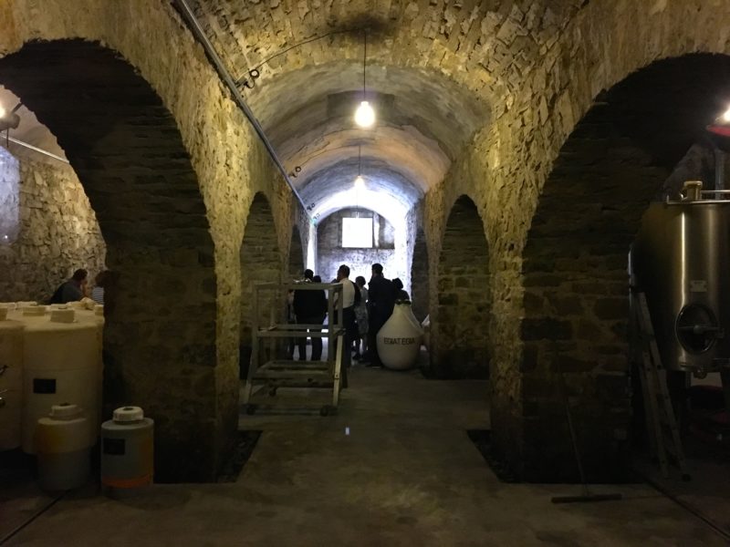 Seminaire pays basque saint jean de luz croisiere degustation vin egiategia grand hotel loreamar agence-evenementielle receptive voyage pays basque erronda