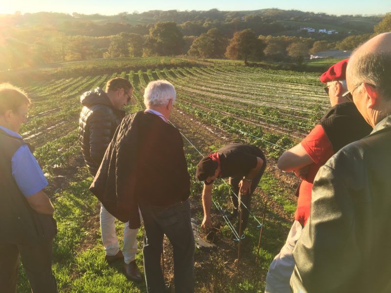 seminaire pays basque biarritz artisan visite voyage conference intevention creation-artistique artisans artistes agence evenementielle erronda-