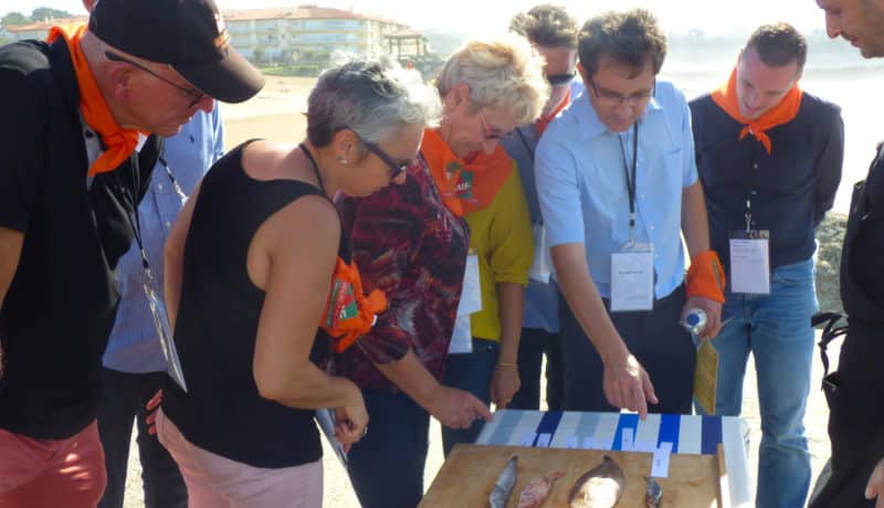 Seminaire biarritz activite team building anglet incentive corsaires basques agence voyage evenementielle erronda