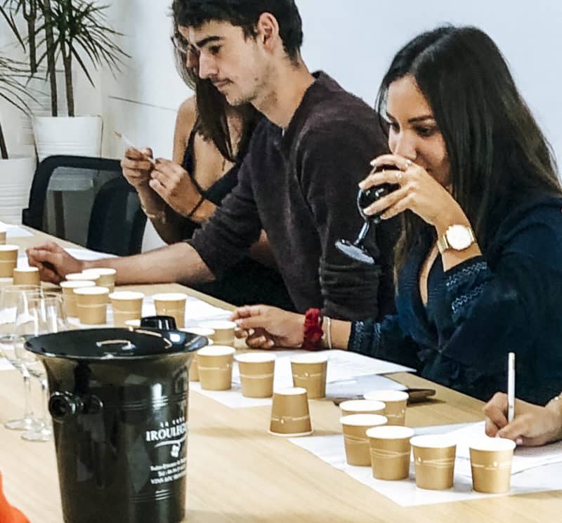 agence evenementielle receptive pays basque erronda seminaire team building incentive event saint jean de luz Irouléguy vin initiation degustation activité plein air vignes escape game tonneaux