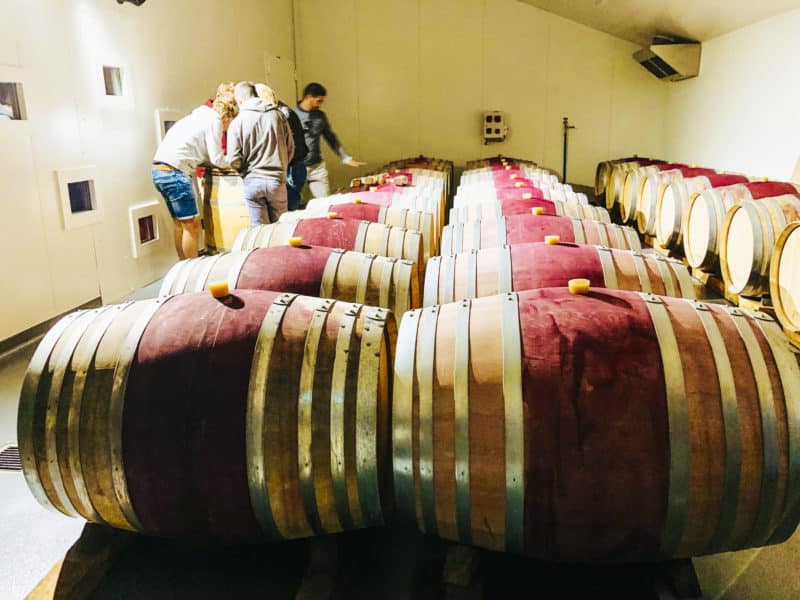 agence evenementielle receptive pays basque erronda seminaire team building incentive event saint jean de luz Irouléguy vin initiation degustation activité plein air vignes escape game tonneaux