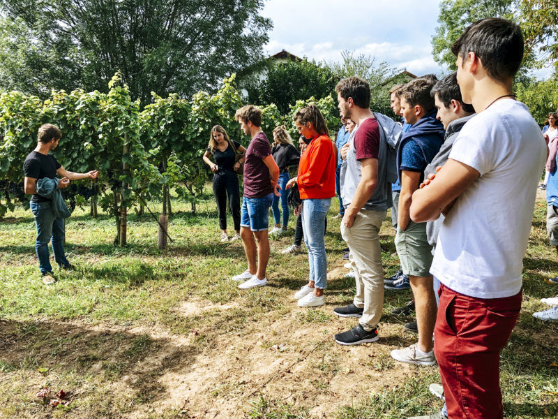 agence evenementielle receptive pays basque erronda seminaire team building incentive event saint jean de luz Irouléguy vin initiation degustation activité plein air vignes escape game tonneaux