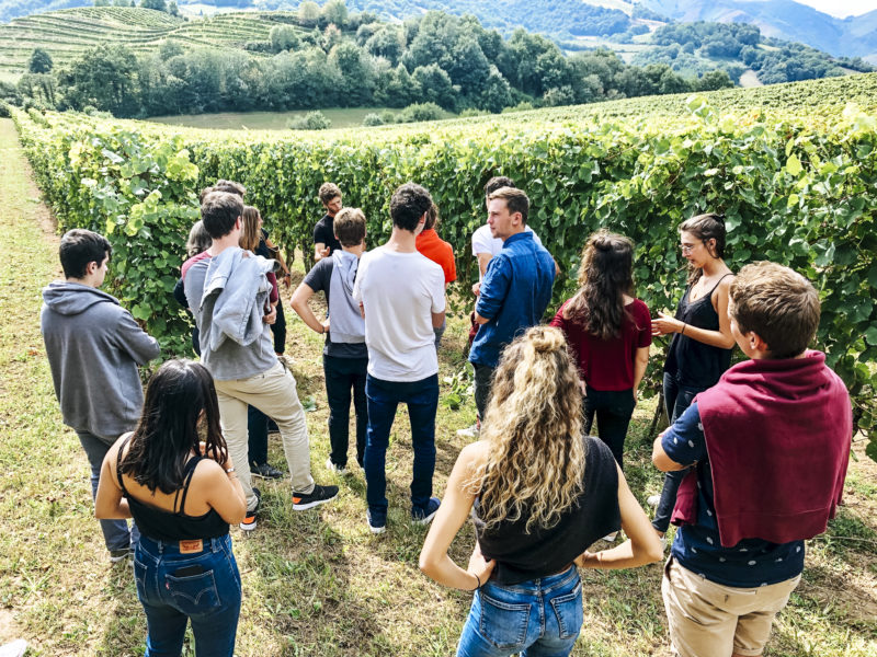agence événementielle réceptive voyage pays basque erronda séminaire team building saint jean de luz irouléguy vin vignes degustation