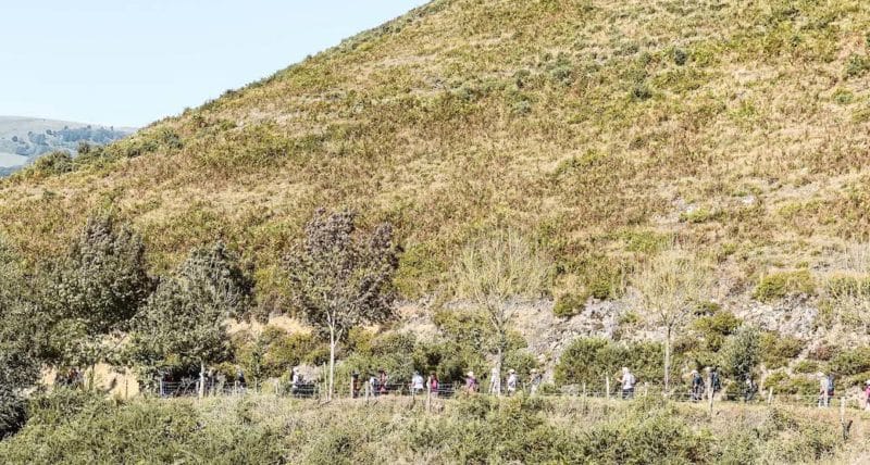 Kedge Aldudes Les Aldudes Pierre Oteiza Ferme Gastronomie Cochons Randonnée Vin Patrimoine Dégustation Oenologie Nature Montagnes Pays Basque intérieur déjeuner école de commerce Kedge Bayonne