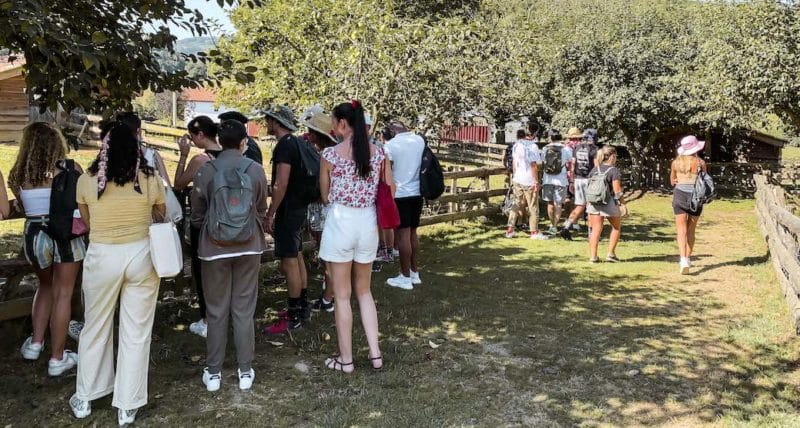 Kedge Aldudes Les Aldudes Pierre Oteiza Ferme Gastronomie Cochons Randonnée Vin Patrimoine Dégustation Oenologie Nature Montagnes Pays Basque intérieur déjeuner école de commerce Kedge Bayonne