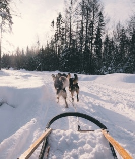 séminaire dans les Alpes Erronda