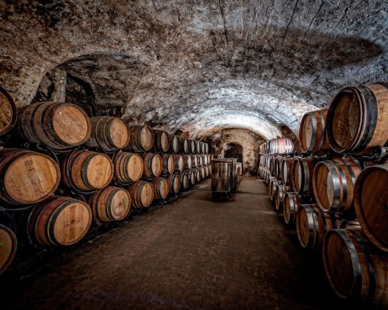 team building Lisbonne route de la gastronomie, vin2, groupe agence erronda Pays basque