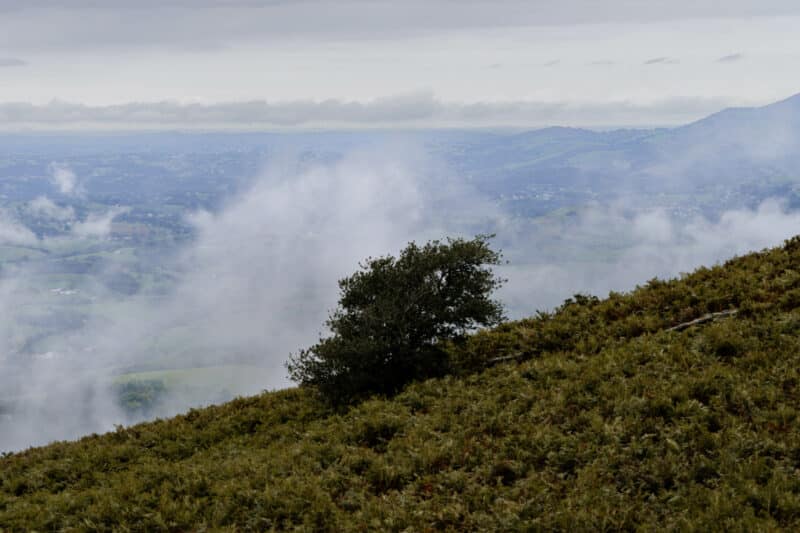 raid rhune experience pays basque incentive team building agence erronda