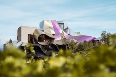 séminaire rioja gastronomie vin mongolfiere agence erronda