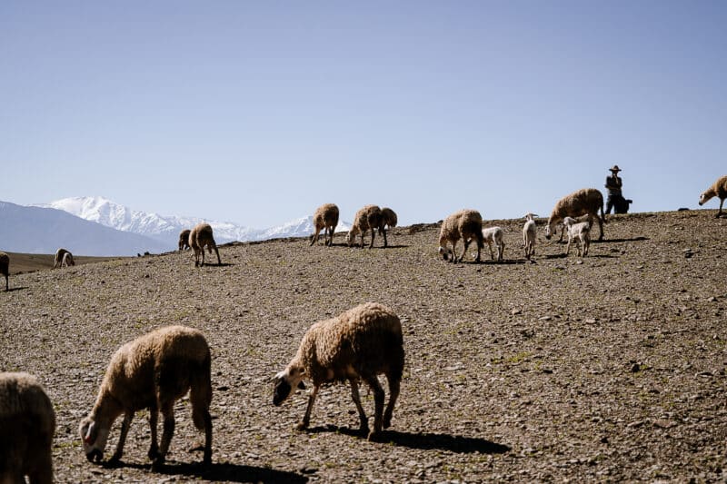 Reportage photo video séminaire entreprise maroc salty view photographe x agence erronda pays basque